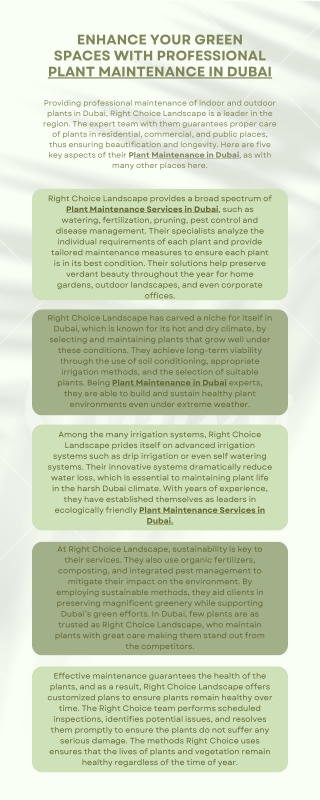 Enhance Your Green Spaces with Professional Plant Maintenance in Dubai