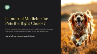 Internal Medicine for Pets: A Life-Changing Approach to Veterinary Care