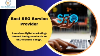 Best SEO Service Provider in Noida