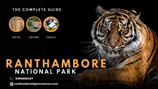 Ranthambore National Park Rajasthan India