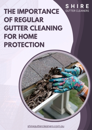 The Importance of Regular Gutter Cleaning for Home Protection