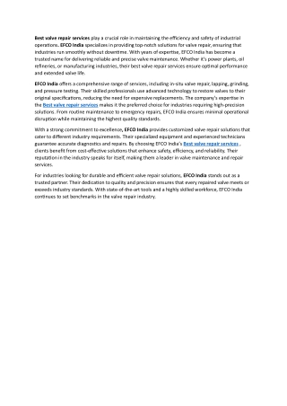 Best valve repair services