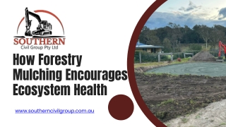 How Forestry Mulching Encourages Ecosystem Health