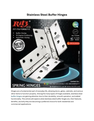 Stainless Steel Buffer Hinges