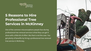 5 Reasons to Hire Professional Tree Services in McKinney (1)