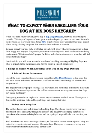 What to Expect When Enrolling Your Dog at Big Dogs Daycare