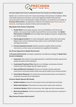 How Does Spider Pest Control in Adelaide Protect Your Family from Hidden Dangers