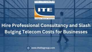 Hire Professional Consultancy and Slash Bulging Telecom Costs for Businesses