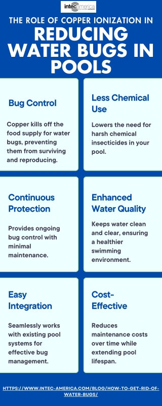 The Role of Copper Ionization in Reducing Water Bugs in Pools