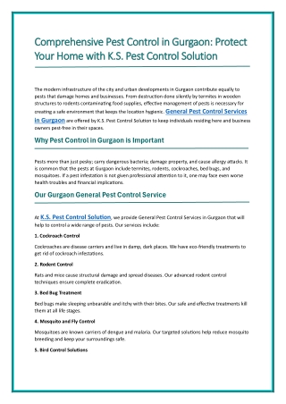 Comprehensive Pest Control in Gurgaon