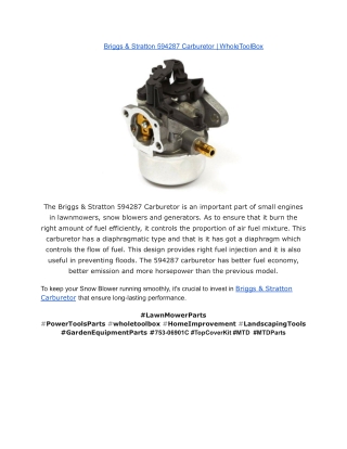 Briggs & Stratton 594287 Carburetor _ WholeToolBox