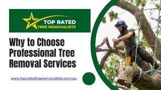Why to Choose Professional Tree Removal Services