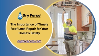 The Importance of Timely Roof Leak Repair for Your Home's Safety