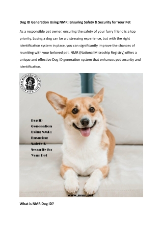 Dog ID Generation Using NMR Ensuring Safety & Security for Your Pet