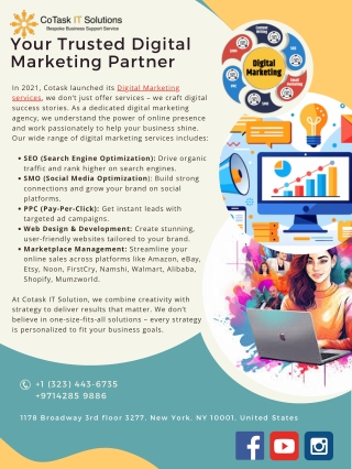 Expert Digital Marketing Services | Cotask IT Solution