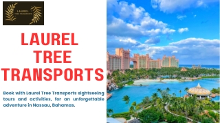 Nassau airport transfers