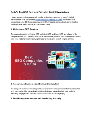 Delhi's Top SEO Services Provider_ Social Mosquitoes