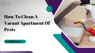 How To Clean A Vacant Apartment Of Pests
