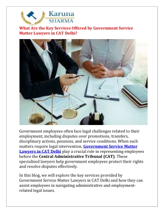 What Are the Key Services Offered by Government Service Matter Lawyers in CAT Delhi