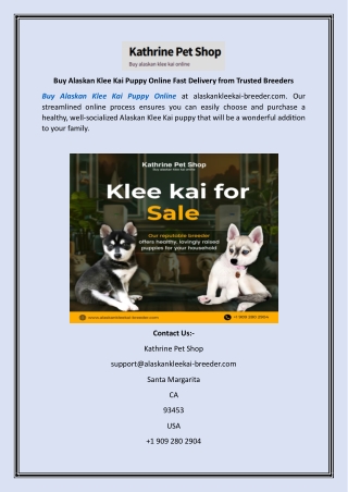 Buy Alaskan Klee Kai Puppy Online Fast Delivery from Trusted Breeders