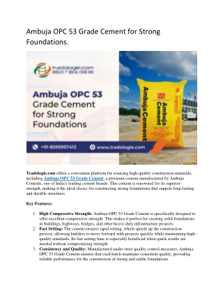 Ambuja OPC 53 Grade Cement for Strong Foundations