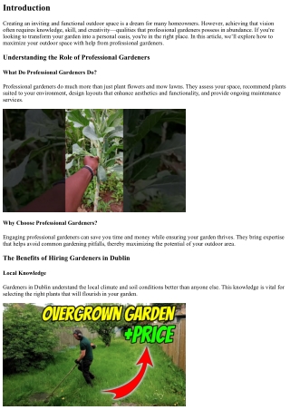 Maximize Your Outdoor Space with Help from Professional Gardeners