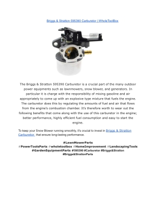 Briggs & Stratton 595390 Carburetor _ WholeToolBox