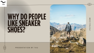 Why Do People Like Sneaker.