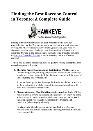 Finding the Best Raccoon Control in Toronto