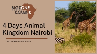 4 Days Animal Kingdom Nairobi
