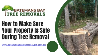 How to Make Sure Your Property Is Safe During Tree Removal