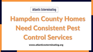Hampden County Homes Need Consistent Pest Control Services