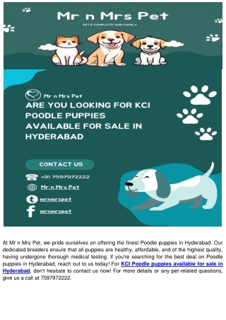 KCI Poodle puppies available for sale in Hyderabad