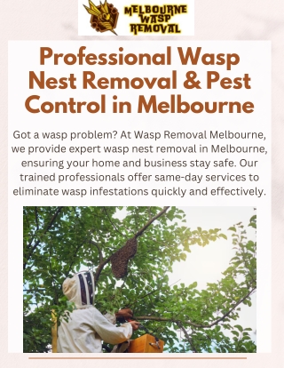 Expert Wasp Removal Melbourne  Trusted Wasp Exterminator & Pest Control