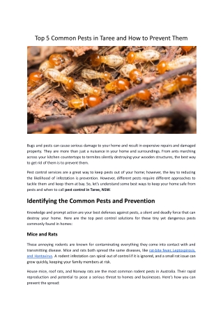 Top 5 Common Pests in Taree and How to Prevent Them