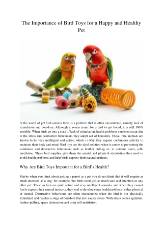 The Importance of Bird Toys for a Happy and Healthy Pet