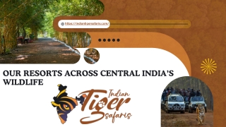 indian tiger safaris pd