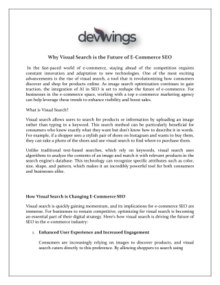 Why Visual Search is the Future of E-Commerce SEO