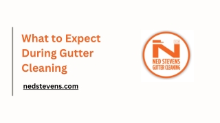 What to Expect During Gutter Cleaning By Nedsteven