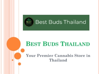Best Buds - Cannabis Store 548