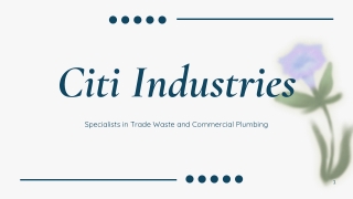 Citi Industries