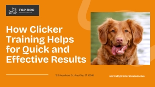 How Clicker Training Helps for Quick and Effective Results