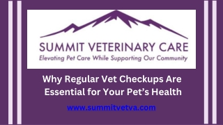 Why Regular Vet Checkups Are Essential for Your Pet’s Health
