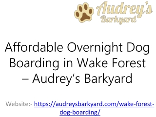 Affordable Overnight Dog Boarding in Wake Forest