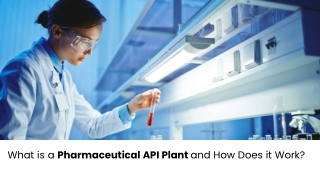 What is a Pharmaceutical API Plant and How Does it Work?