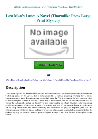 eBooks Lost Man's Lane A Novel (Thorndike Press Large Print Mystery)