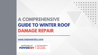 A Comprehensive Guide to Winter Roof Damage Repair