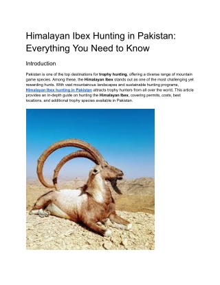 Himalayan Ibex Hunting in Pakistan_ Everything You Need to Know