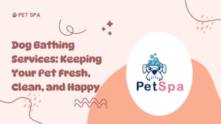 Dog Bathing Services Keeping Your Pet Fresh Clean and Happy