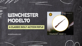 Winchester Model70: A Classic Bolt-Action Rifle